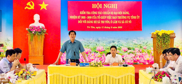 ប្រធានគណៈកម្មាធិការអធិការកិច្ចនៃគណៈកម្មាធិការបក្សខេត្ត An Giang ធ្វើការជាមួយឃុំចំនួន៣
