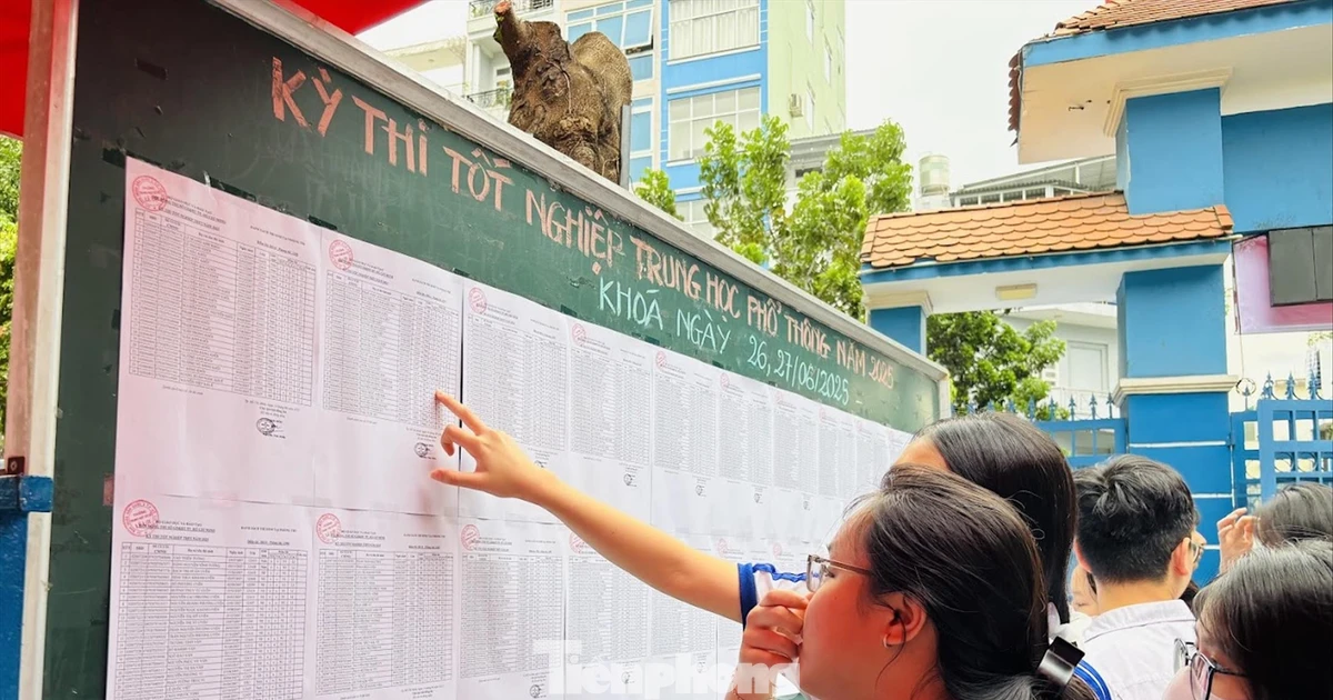 Chứng chỉ IELTS thành 'phao cứu sinh'