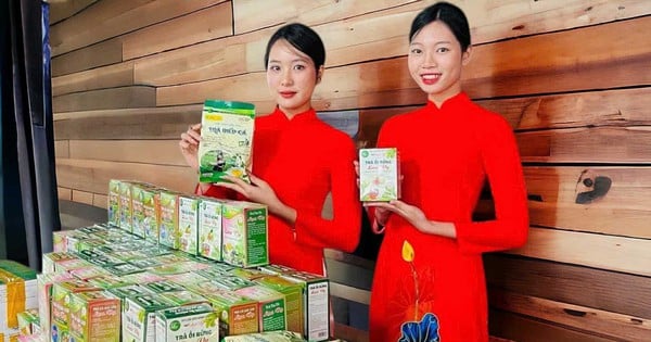Nữ doanh nhân miền miền núi phát triển dược liệu bản địa