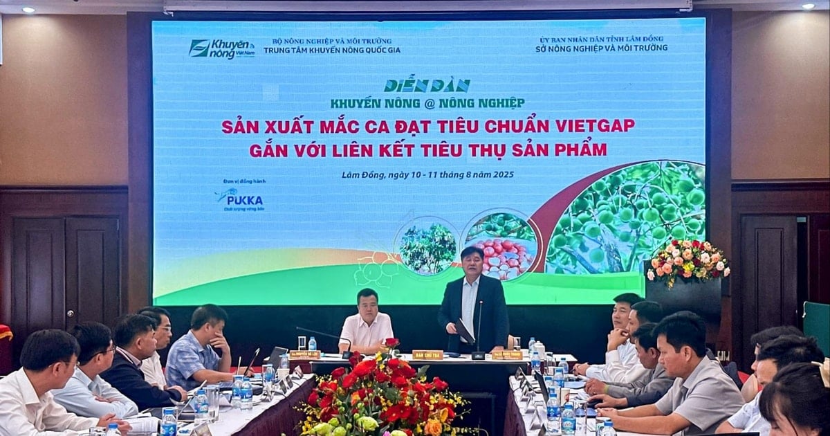 Diễn đàn tăng cường liên kết chuỗi trong sản xuất mắc ca VietGAP