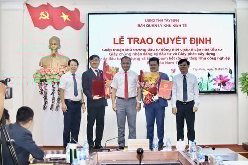 Adjudicación de la decisión de inversión para el Proyecto del Parque Industrial Binh Hoa Nam 1