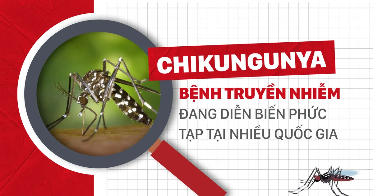 Chikungunya - Bệnh truyền nhiễm đang diễn biến phức tạp tại nhiều quốc gia