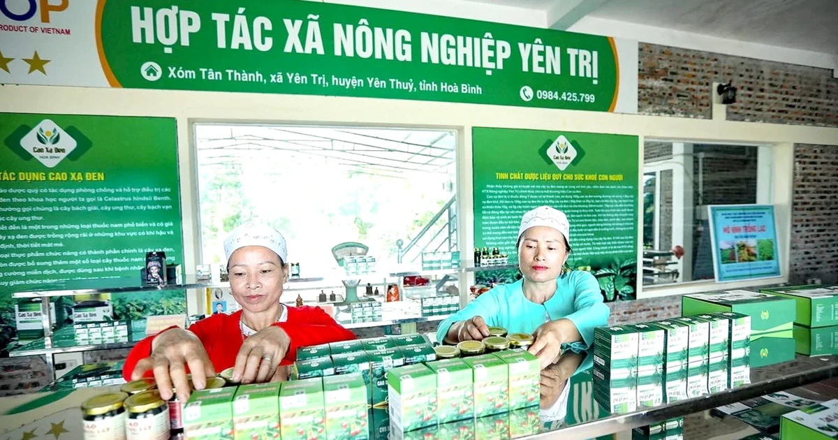 Vụ mới ở Yên Trị