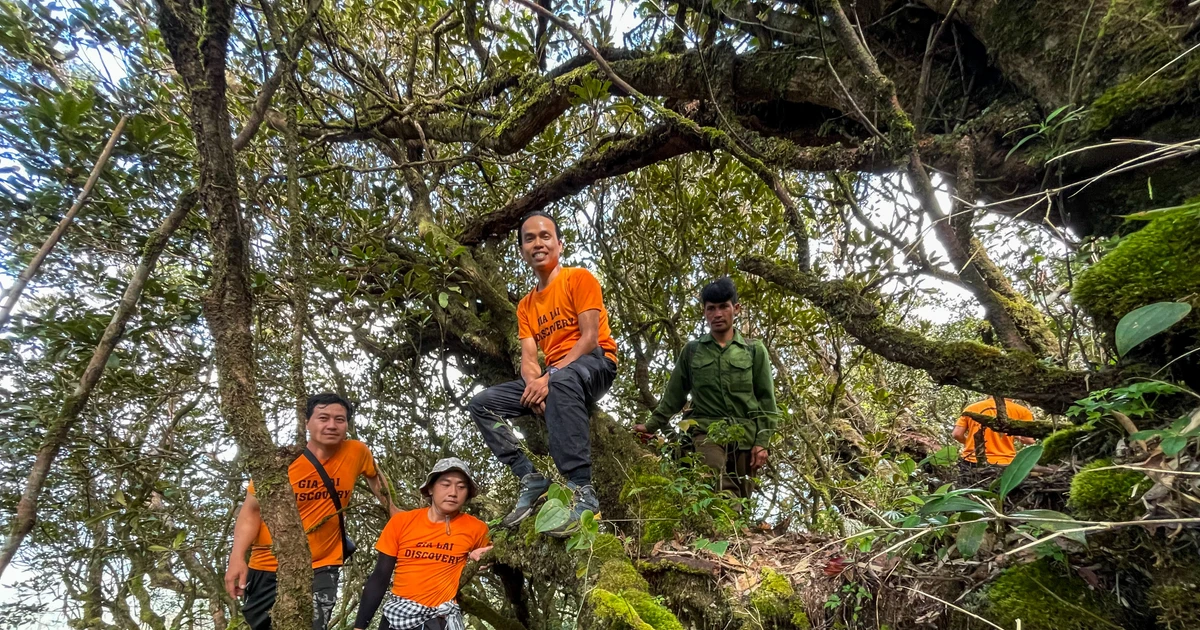 Đánh thức Kon Ka Kinh