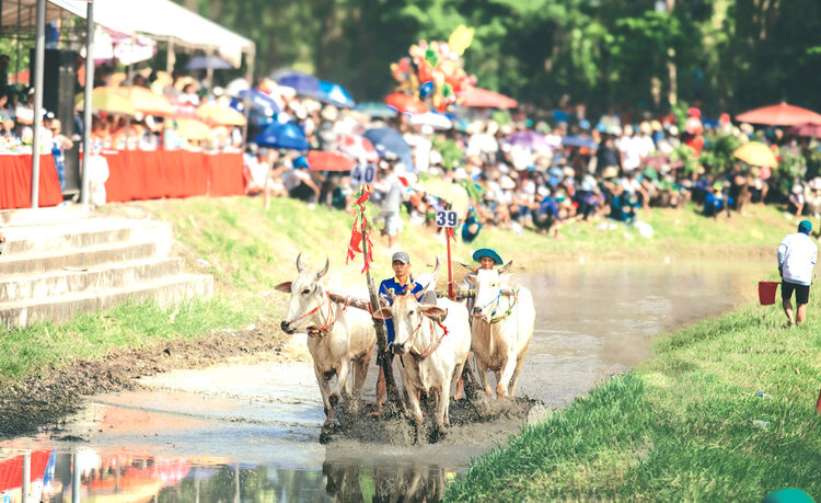 វប្បធម៌ខ្មែរចម្រុះពណ៌នៅខេត្តមួយ - វគ្គ២៖ រដូវបុណ្យភ្ជុំបិណ្ឌភ្ជុំវប្បធម៌