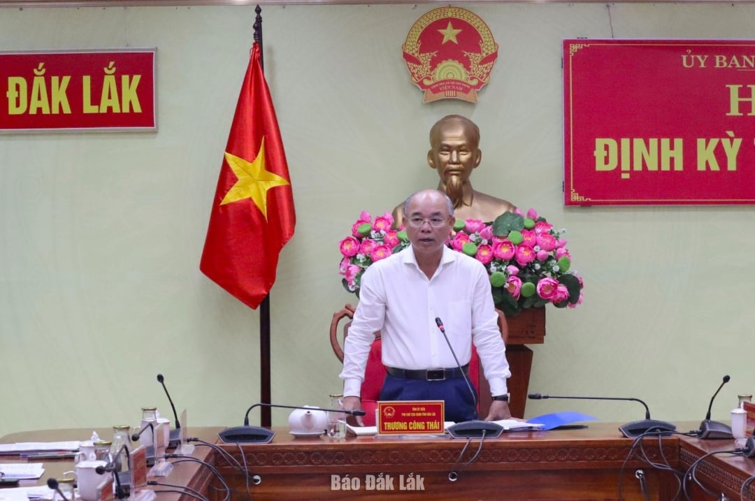 Il vicepresidente del Comitato popolare provinciale, Truong Cong Thai, ha pronunciato il discorso conclusivo della riunione.