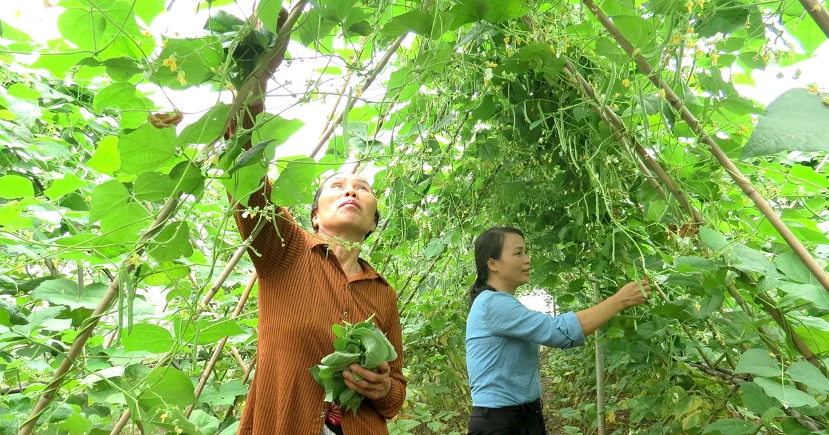 Động lực để người dân Hoàng Cương vươn lên thoát nghèo