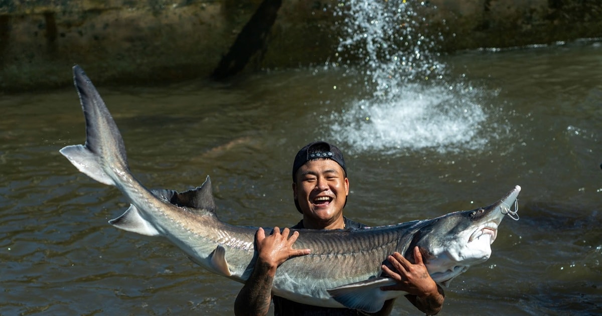 Dam Rong 2 restructures the agricultural sector towards sustainability