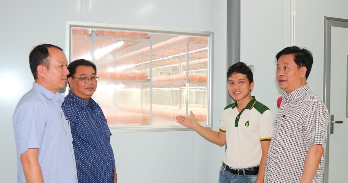 Bảo Lâm 2 phát huy thế mạnh, tiềm năng để phát triển