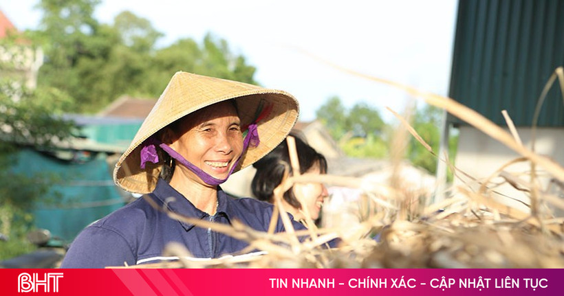 Người dân phấn khởi kiếm tiền từ cây dại ven sông