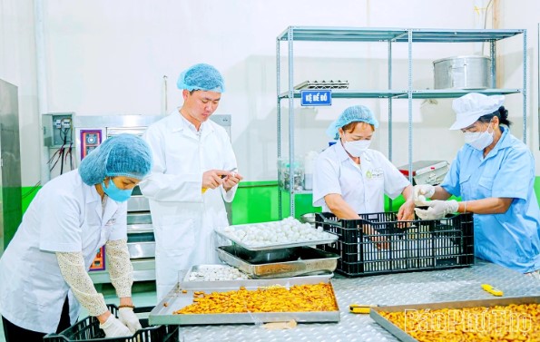 Xây dựng sản phẩm OCOP dựa trên thế mạnh doanh nghiệp