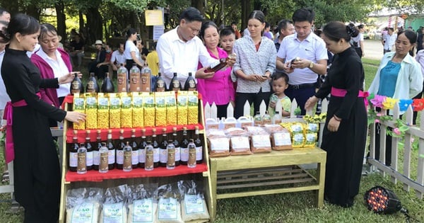 Tuyên Quang: Tạo không gian thưởng trà, quảng bá sản phẩm đặc trưng dân tộc thiểu số và miền núi Tân Trào