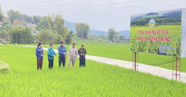 Lai Châu: Hướng dẫn hỗ trợ phát triển sản phẩm OCOP khi thực hiện chính quyền địa phương 2 cấp