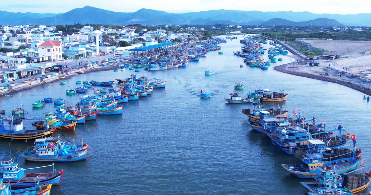 'Hồn biển' bên sông Cà Ty