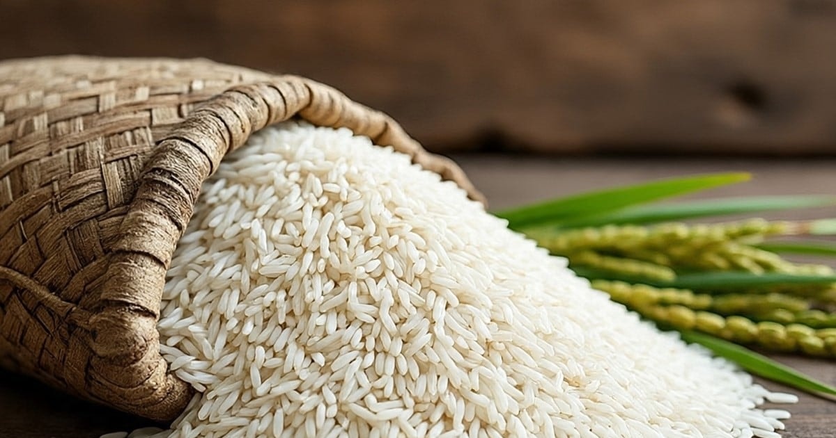 Giá lúa gạo hôm nay 13/8: Xuất khẩu dẫn đầu, nội địa ổn định