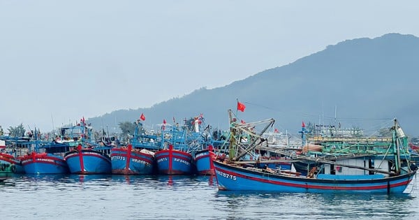 Đà Nẵng đặt quyết tâm cao nhất chấm dứt tình trạng vi phạm IUU