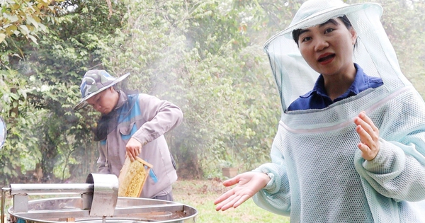 Viết giấc mơ khởi nghiệp từ những giọt mật