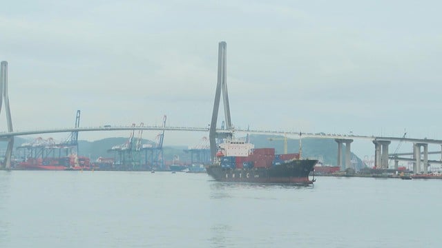 TP.HCM tăng cường kết nối với Cảng Busan, Hàn Quốc - Ảnh 1.