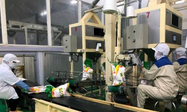 Kỳ vọng xuất khẩu gạo vào thị trường mới