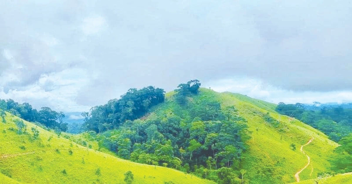 Trên đỉnh đồi Tà Năng