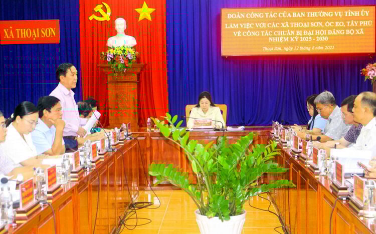 Phó Chủ tịch Thường trực HĐND tỉnh An Giang kiểm tra công tác chuẩn bị Đại hội Đảng bộ 3 xã