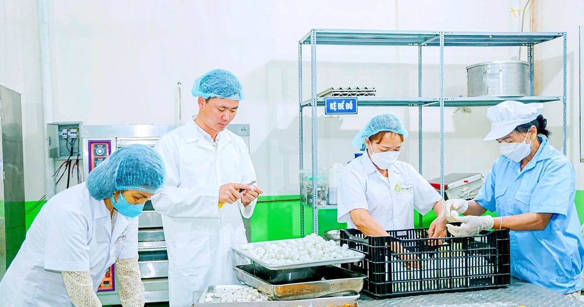 Xây dựng sản phẩm OCOP dựa trên thế mạnh doanh nghiệp