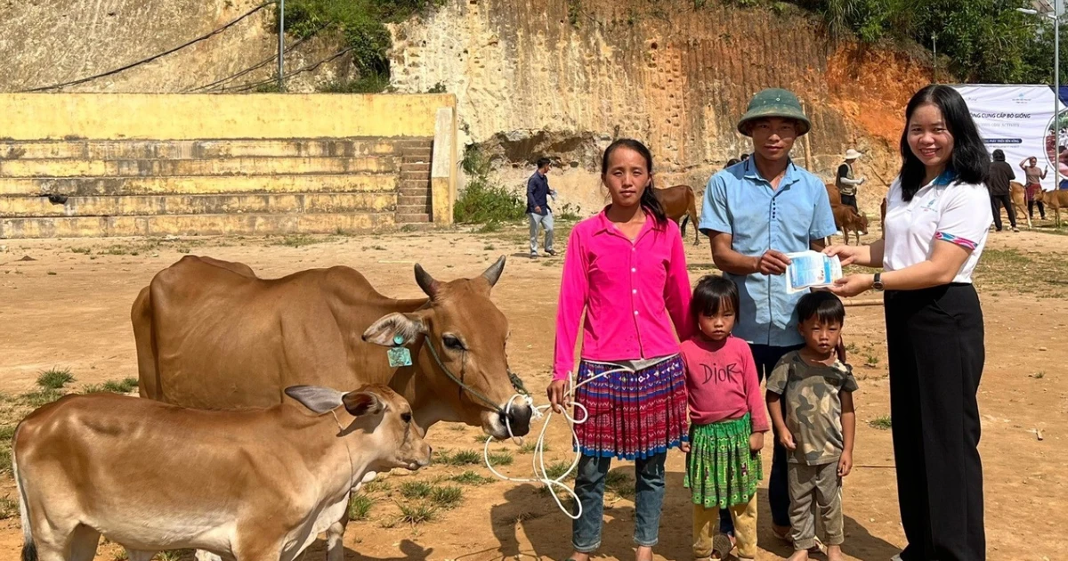 Lao Cai supports 50 livelihood models for poor women
