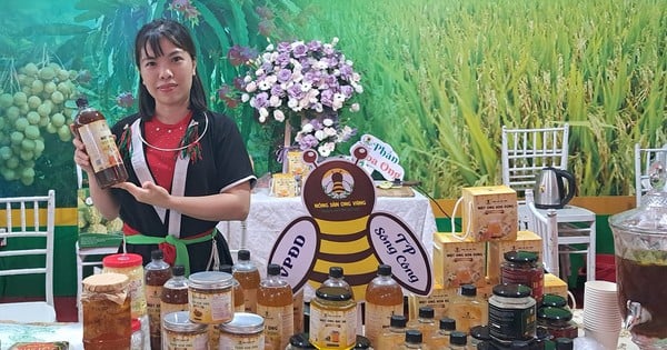 Thái Nguyên đồng hành cùng hợp tác xã miền núi, vùng sâu, vùng xa xây dựng thương hiệu