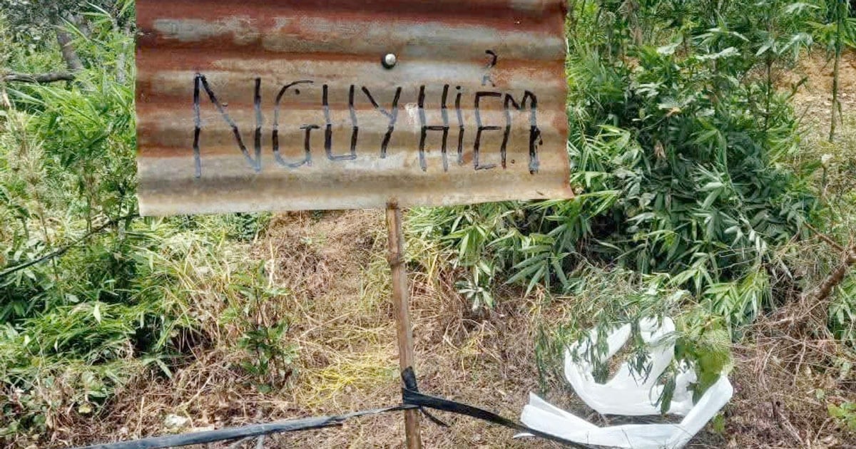 Nông dân Lâm Đồng phát hiện đạn pháo khi làm vườn