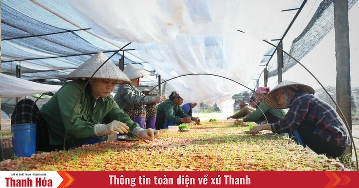 Thực hiện Nghị quyết 68: “Không tô hồng” và phải “đong, đếm được”