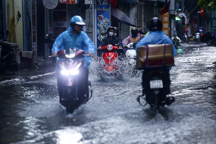 Thời tiết ngày 14/8: Mưa lớn ở vùng núi Bắc Bộ