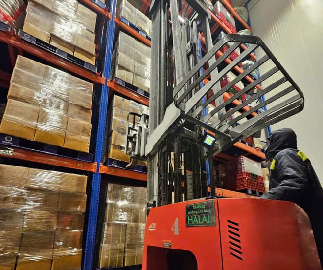 Logistics Hub sử dụng trang thiết bị theo tiêu chuẩn Halal. (Ảnh: Khánh Ly/Vietnam+)
