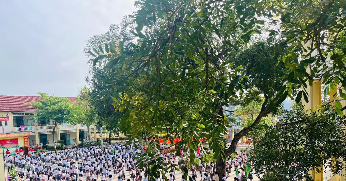 Phường Quảng Phú không nhận hoa mừng khai giảng, kêu gọi hỗ trợ giáo dục năm học 2025 - 2026