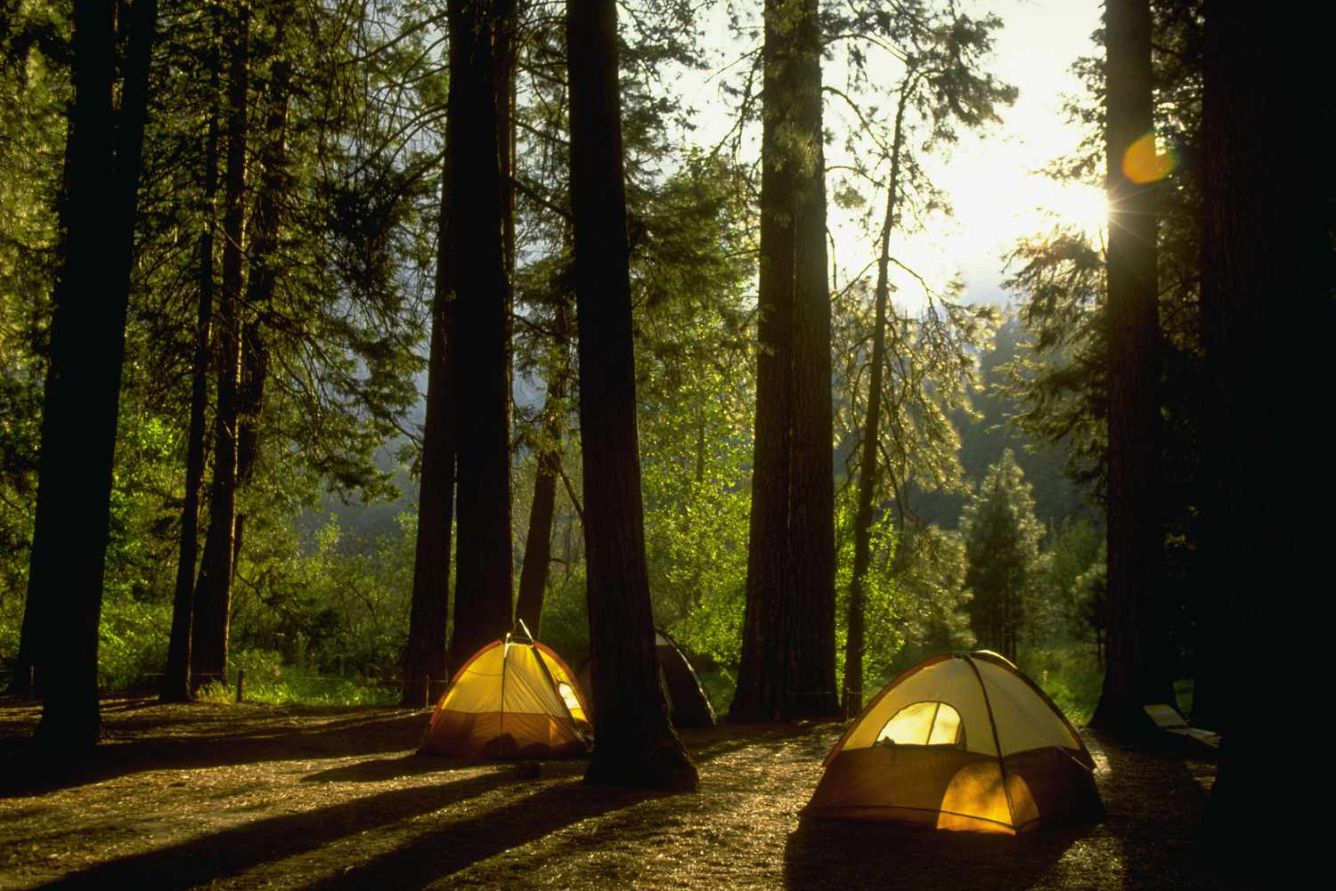 Trải nghiệm cắm trại ở Yosemite National Park: Hành trình đưa bạn đến gần hơn với vẻ đẹp nguyên sơ