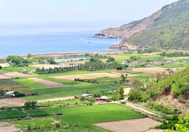 Những ngôi làng tuyệt đẹp ven biển: Làng 'bốn không' dưới chân Hòn Hèo- Ảnh 8.