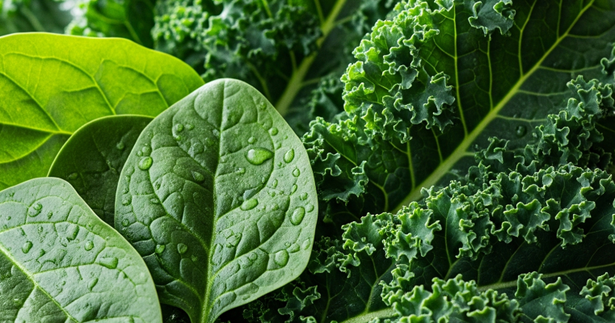 What vegetables to eat to reduce visceral fat?