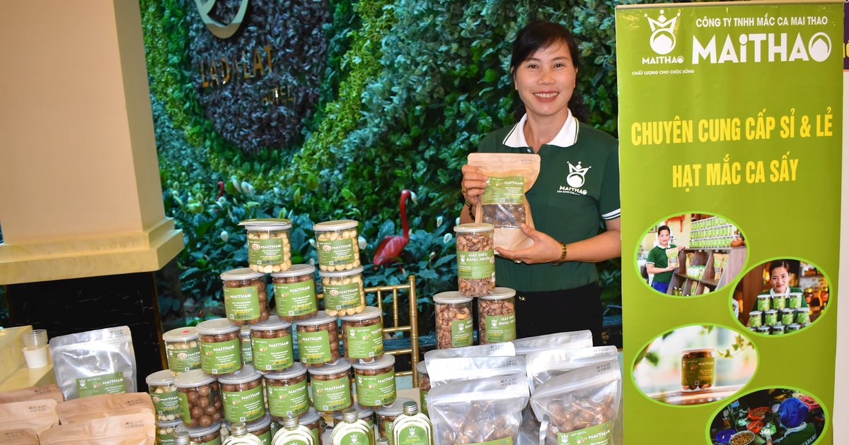Hình thành vùng nguyên liệu mắc ca bền vững