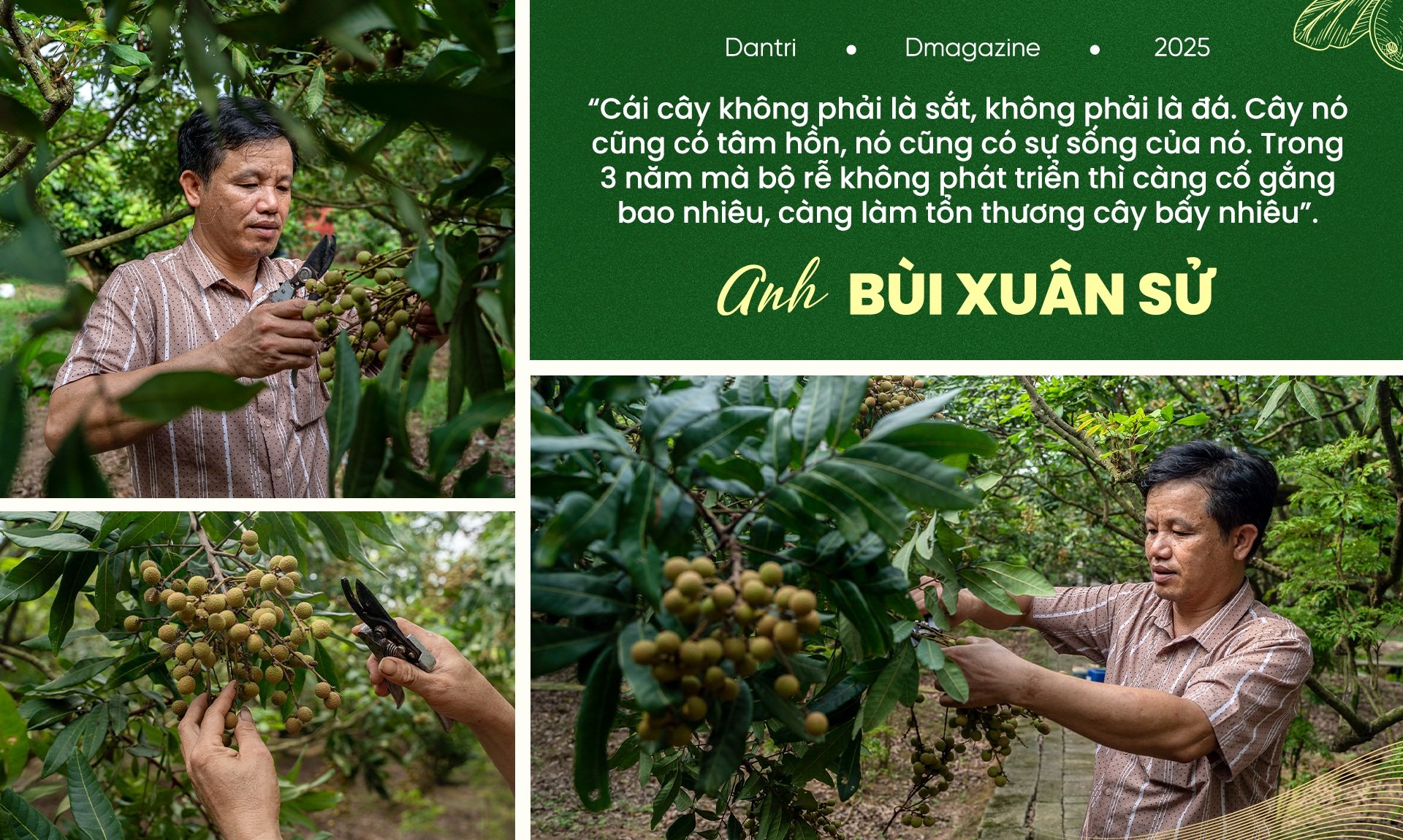 Trái ngọt của anh nông dân “khùng” bắt nhãn ăn cá, uống dịch chuối - 9