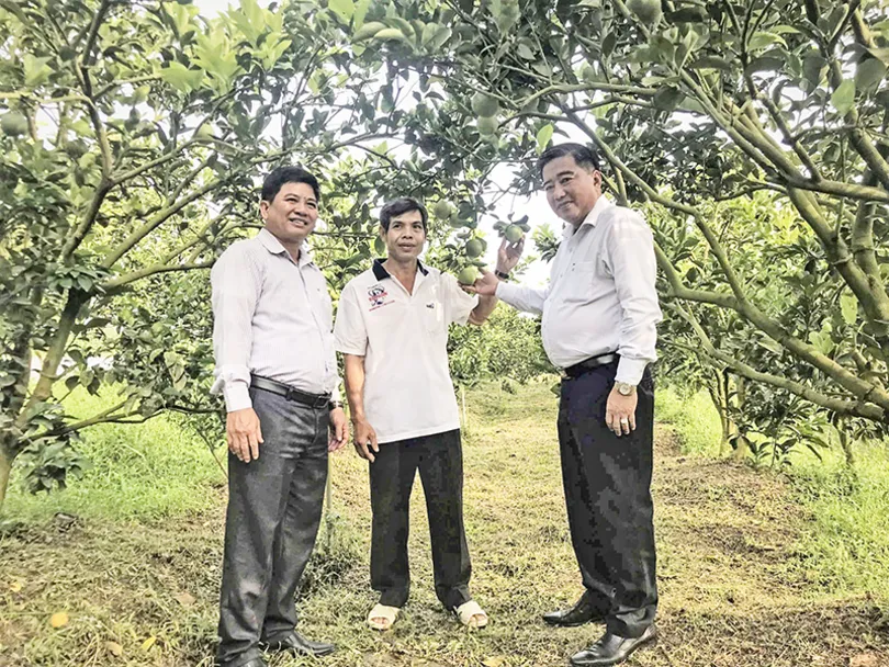 ការពង្រឹងដំណោះស្រាយសម្រាប់ការបំប្លែងដំណាំលើដីស្រែគ្មានប្រសិទ្ធភាព