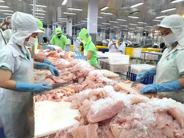 Cá tra xuất Mỹ tăng trưởng đột phá