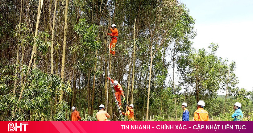 Tăng cường “lá chắn” hành lang an toàn lưới điện ở Hà Tĩnh