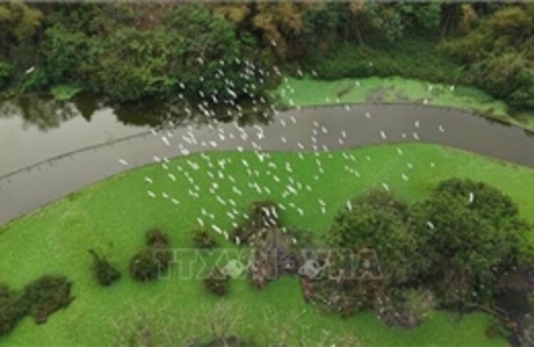 Khám phá xứ sở của các loài chim giữa lòng di sản Tràng An