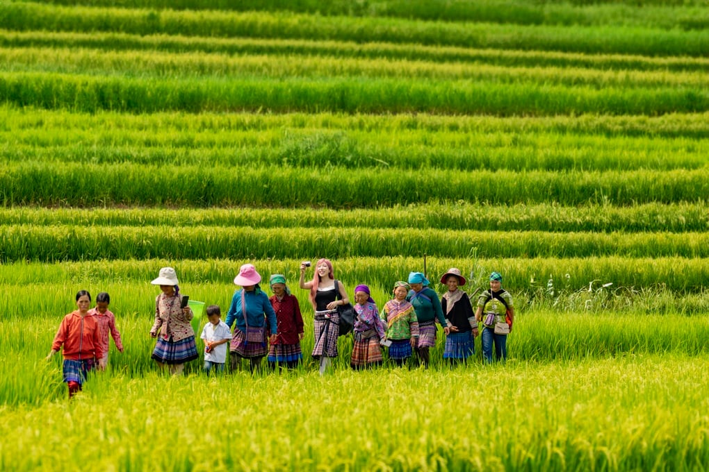 Trang Pháp hé lộ hậu trường ca khúc gây chú ý tại hòa nhạc 25.000 khán giả - 2