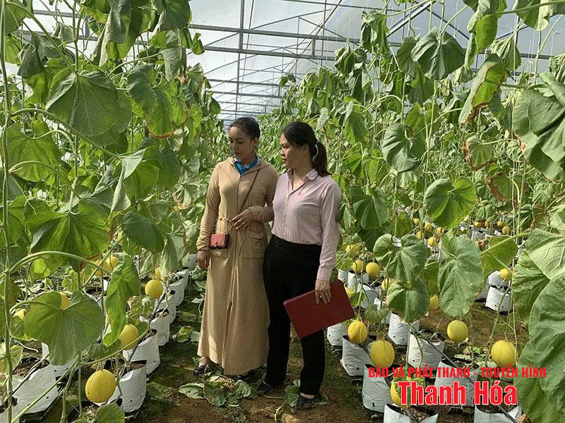Содействовать развитию движений за подражание в кредитной политике