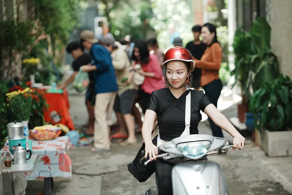 cuc vang cua ngoai 3.jpg