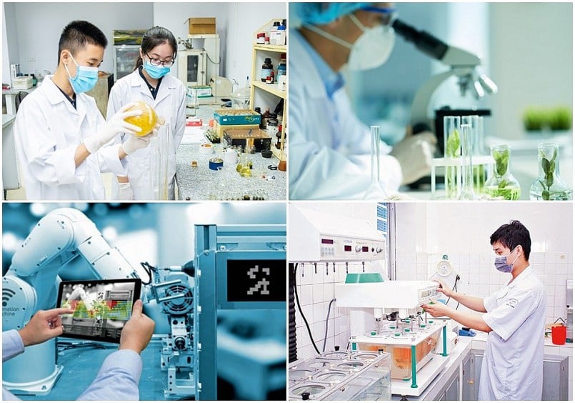 Thông báo đăng tải thông tin kết quả thực hiện nhiệm vụ cấp quốc gia năm 2025