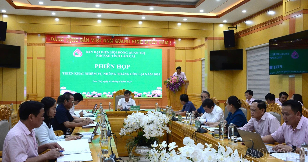 Hơn 32 nghìn lượt hộ nghèo và đối tượng chính sách được vay vốn ưu đãi của Chính phủ