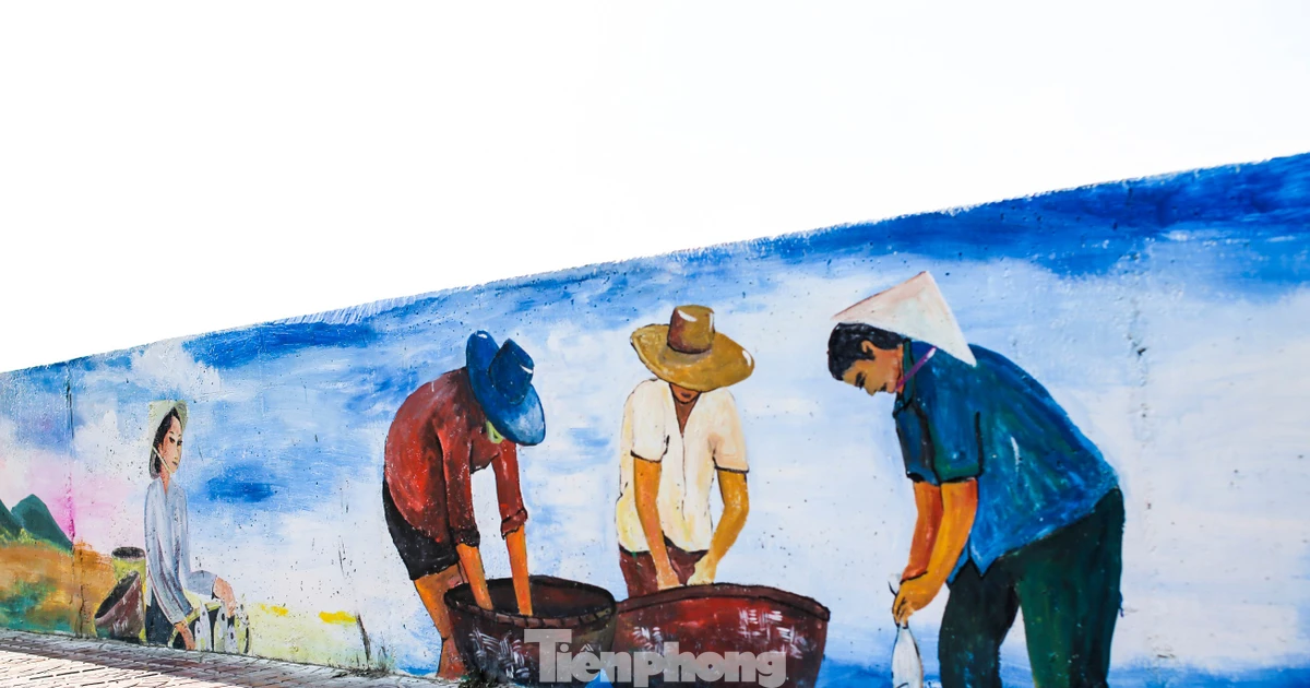 Lost in the 'outdoor gallery' in the middle of Nhon Ly fishing village
