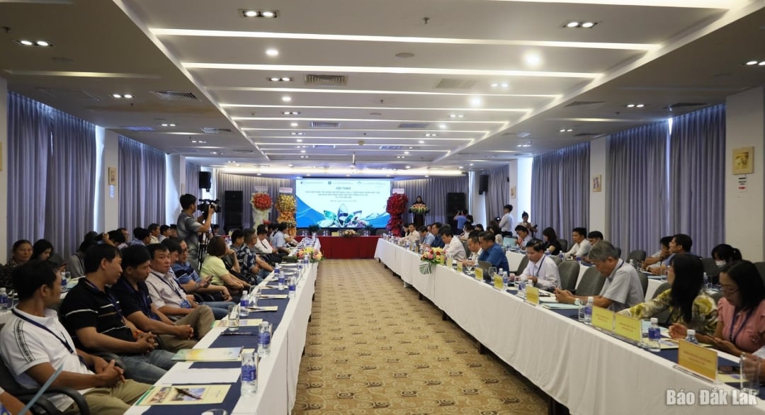 Các đại biểu tham dự hội thảo.