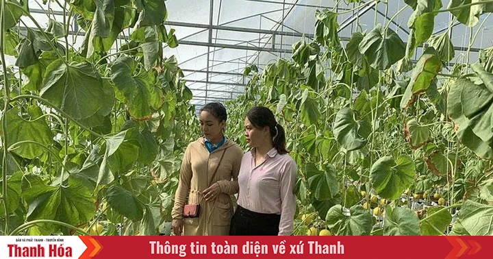 Đẩy mạnh các phong trào thi đua trong hoạt động tín dụng chính sách